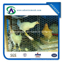 1′′ Hot-Dipped Galvanized & Electro Galvanized Poultry Wire Mesh & Chicken Wire Chicken Wire Mesh